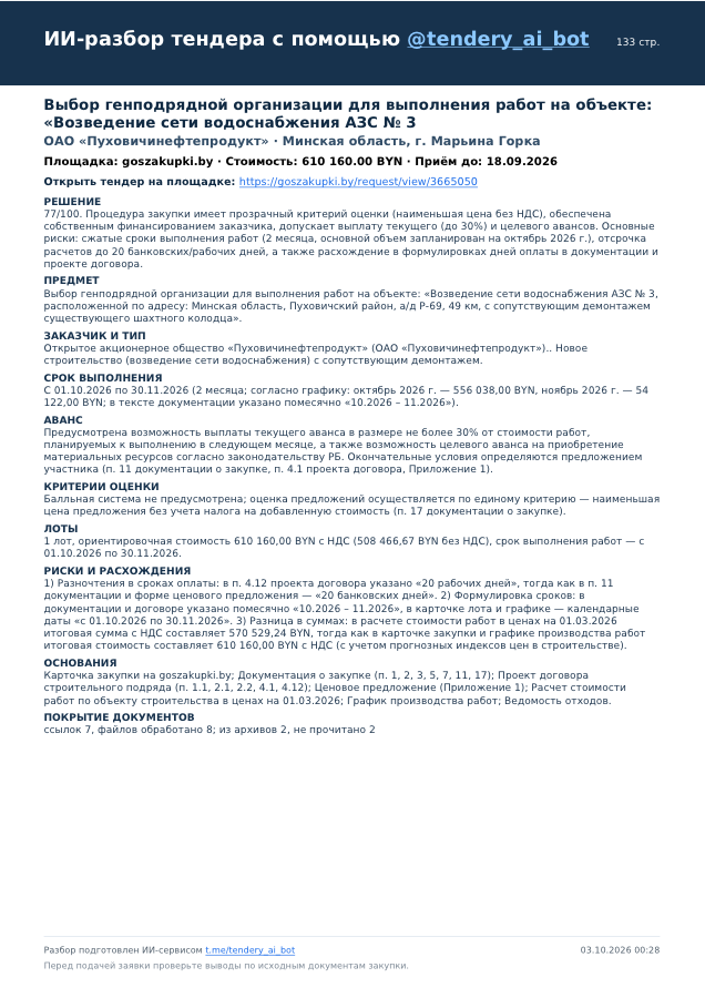 Пример первой страницы PDF-разбора тендера